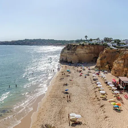 Отель Turim Presidente